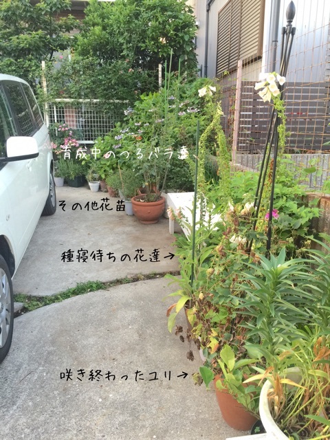 {81743F95-A0B2-4138-A944-C0F6C153DFF5}