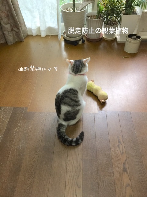 {AE83A66B-9F7A-4AFE-940B-6B8EFF92B4C9}