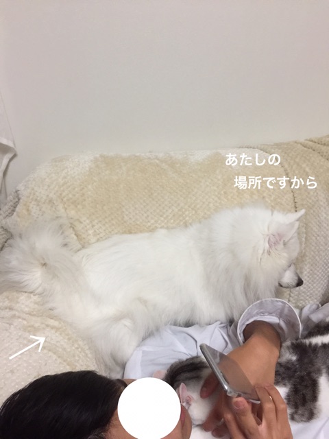 {19F1E679-3293-4401-A8F8-4B8A94B490A5}
