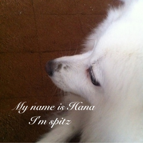photo:03