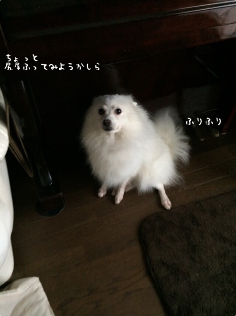 {A1A763A4-B83F-4653-99B8-713B5433EDA5:01}
