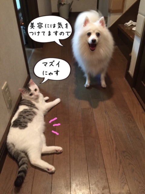 {B53C1148-3928-4054-9C37-9A4AA41EEB98:01}
