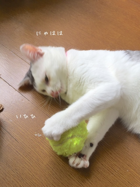 {76538D0C-C558-4F3F-B629-64276297D720}