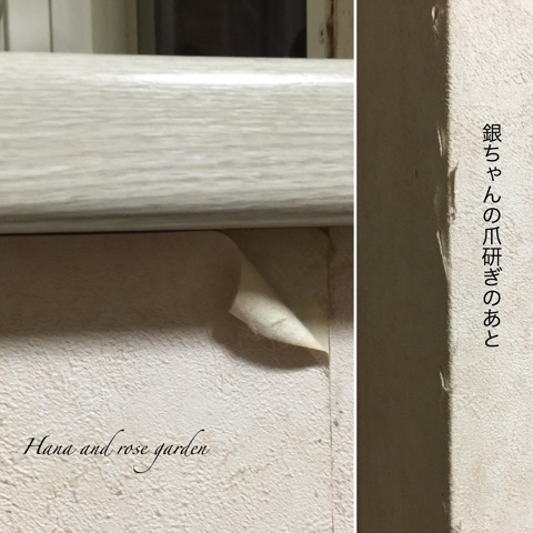 {D8629AF4-F824-4163-AFC6-954F66C43B34}