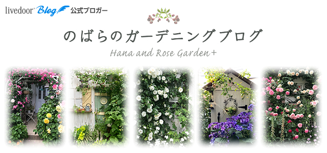 のばらのガーデニングブログ Hana And Rose Garden Powered By ライブドアブログ