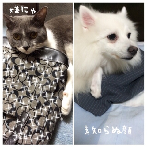 {2E6A891C-42D3-415D-9D02-62A814BA1456:01}