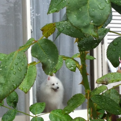 photo:05