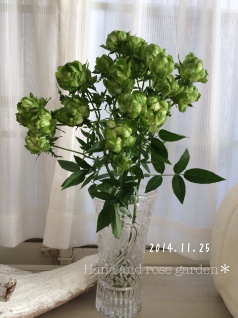 {3F59B777-E7D0-45C1-BEBF-91BDB5095A6F:01}