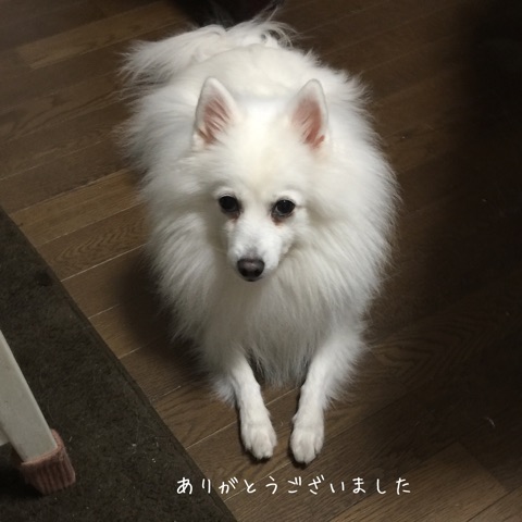 {787677F1-6828-4EB6-A11E-AD4538FEAC98}