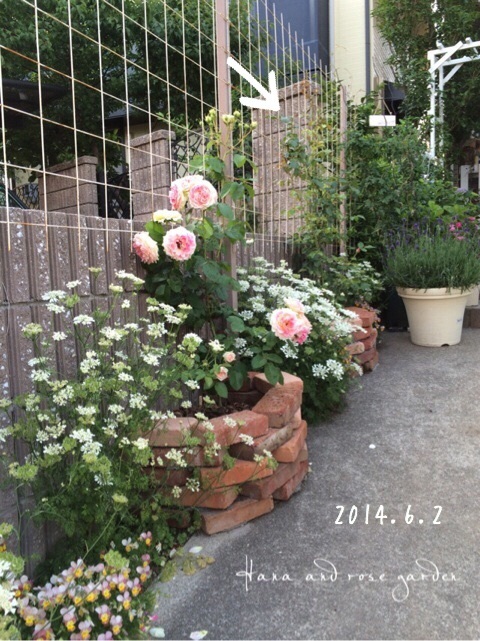 {27D4ED07-2766-4C40-B625-5BBE5845DBD8:01}