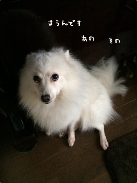 {28927275-B380-46B1-A2ED-03948D93FD77:01}