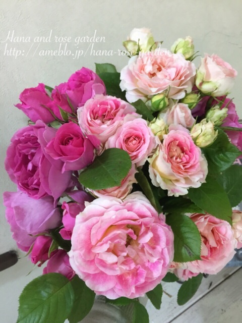 {DF8D68B9-077C-4BC3-B0A3-E91AAFD430EB:01}