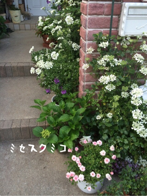 {FA5D92B4-EB52-4CF5-B18C-8204BA037842:01}