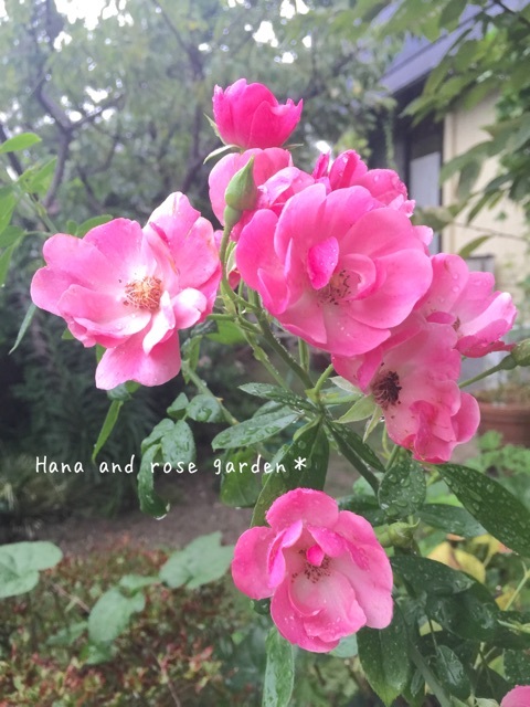 {D16E8414-142A-440F-991E-C75D91D9F8BE:01}