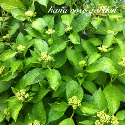 photo:03