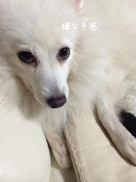 {92453CF3-0DDD-466A-9E56-2A8AC0430A91:01}