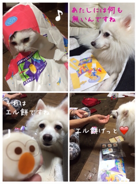 {1ED3F3D4-AA8B-4153-ABF9-1F944A775ED2:01}