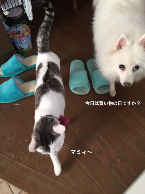 {92A3266A-2041-4C7A-AA67-63ED624EDAE0}