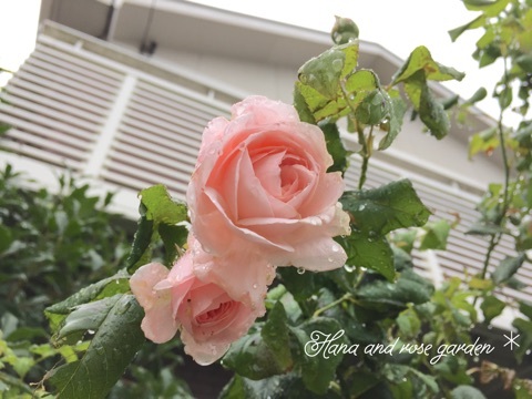 {83FB98F9-2A1C-4C94-9F36-2216C957CF64:01}