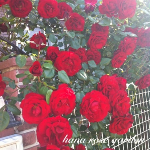 photo:05
