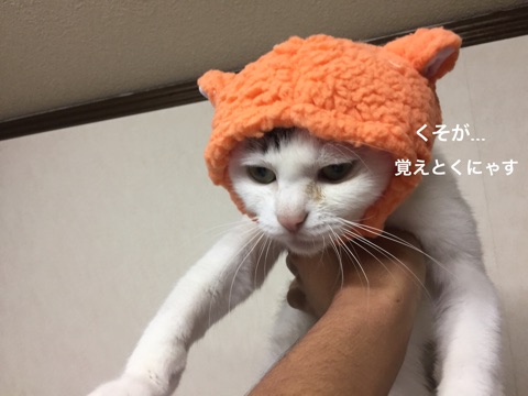 {D469E867-4E43-4E82-A2FC-C604D08E5F0D}
