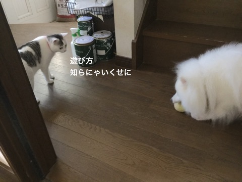 {9B2CBC12-0F53-45C5-886A-15784F31ABA9}