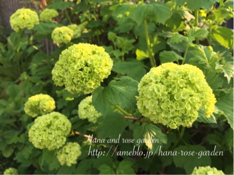 {5DB0DED6-BA50-48AF-A807-B69A050607DF:01}