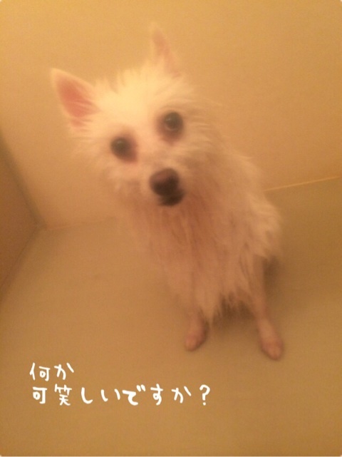 {906DBFBF-A4CB-4A26-B34B-CCD098E4D1D9:01}