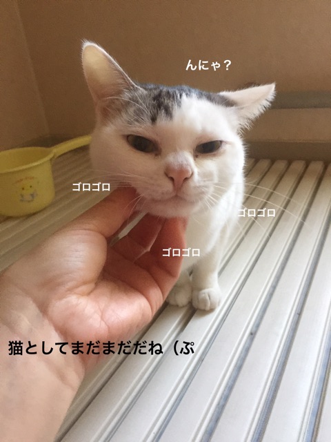 {23737005-5FEE-4B4F-904A-47279976B53B}
