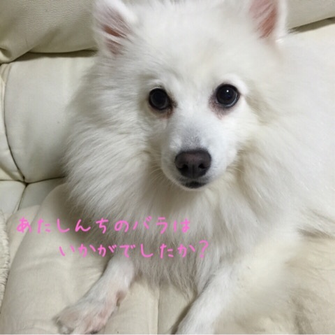 {2901698B-67C0-4F8B-877C-CA2FE74DC281:01}