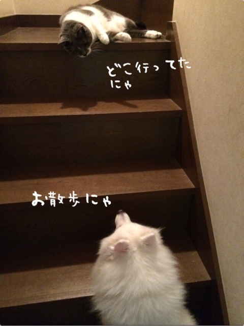 {FFC88C60-F344-4CF4-9F5A-7028414DE52B:01}