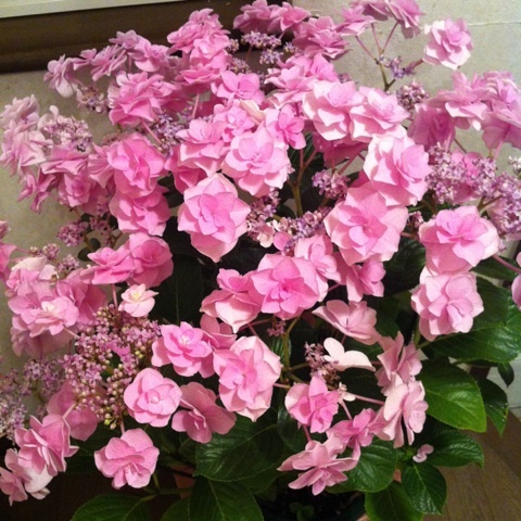 photo:03