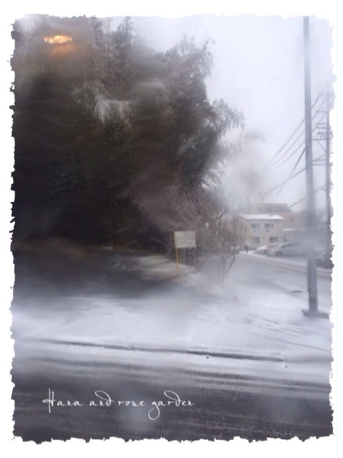 {410EB411-924C-4319-865E-C5BF0DF19337:01}