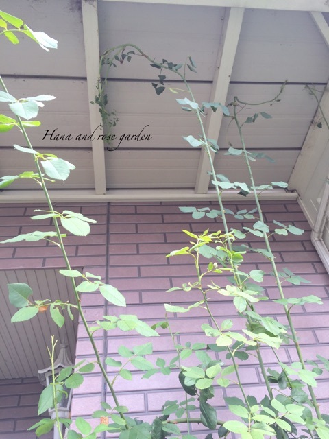 {27186B5D-FC18-4EDE-8C90-0A9960D3CCF7}