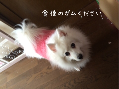 {D5BD6ED2-19D0-4694-92A4-6E0332A93829:01}