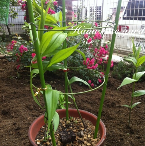 photo:03