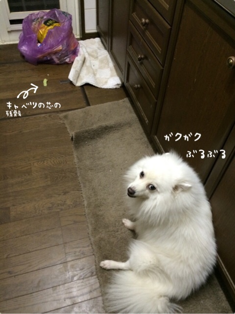 {38D19D37-A31D-4ED5-AEF3-B303FAE66DE6:01}