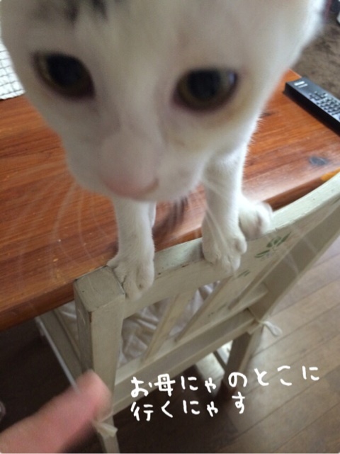{9F07A12B-BDD2-4A07-8D59-EE2CA2C62B34:01}