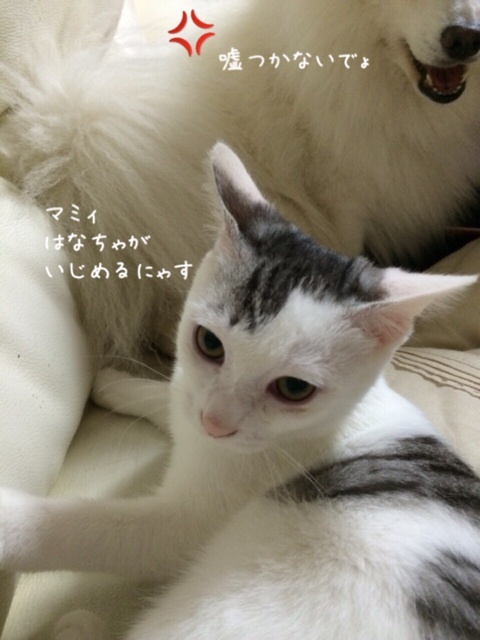 {AD1416F1-8220-426D-8FBD-BB0091A9EBE4:01}