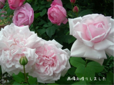 {7F3989A1-1298-45B2-B37E-DB77FA2D62FD:01}