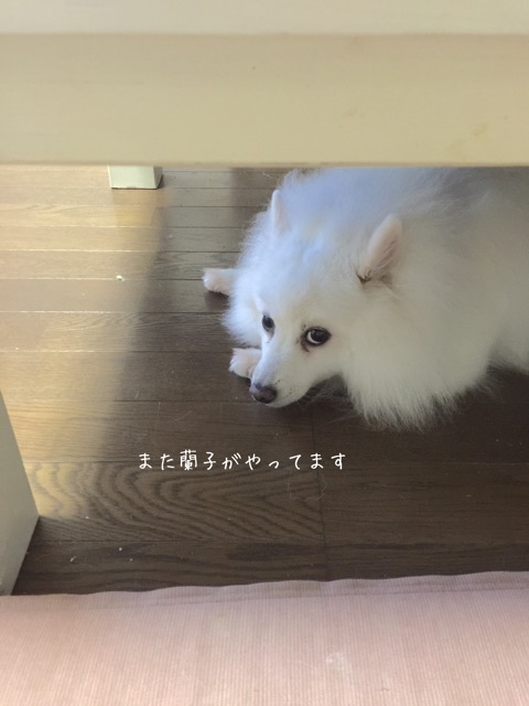 {D40C16C7-738C-42A9-9E38-1241FF51F905}