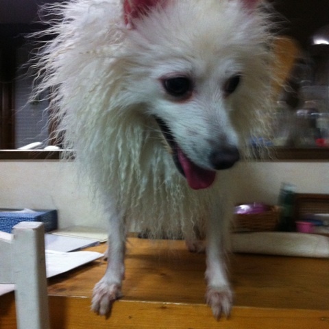 photo:06
