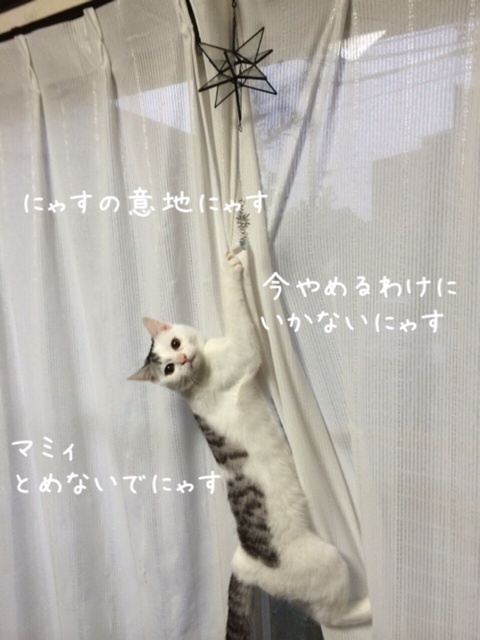 {38D75AC6-EE95-440A-9C60-084C86A741B7:01}