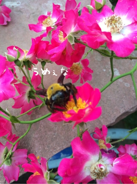 {B594B192-FA34-4A17-BD97-AA17670BA5AE:01}