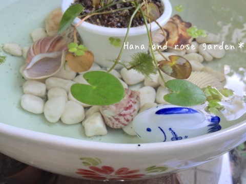 {0AFFC0DB-C878-4001-8A48-694D0C81BAC0:01}