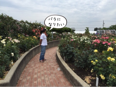 {574CD0AE-8268-447D-8961-B126714ED4F9:01}