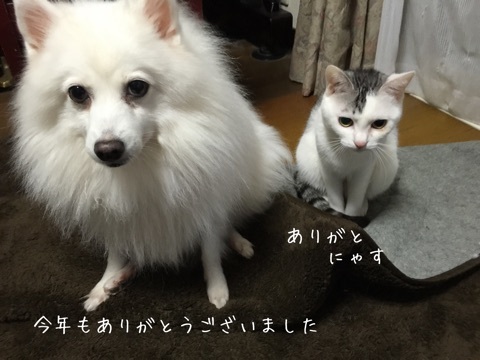 {2A107913-00B0-4E12-ADD7-70CF67E82D22:01}