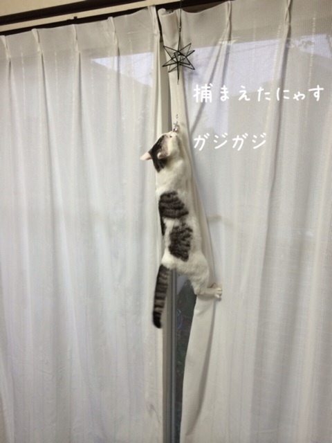 {6A7741E0-920B-4AA8-8C28-C89295A299AB:01}