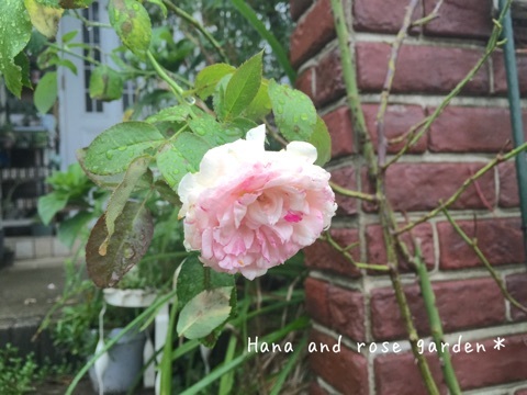 {3AE147D0-9711-4419-B1DA-63BF45AE9763:01}