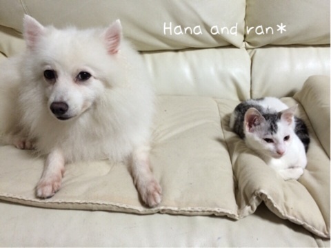 {FB8DB283-2100-44C6-A65F-93E3ACE06F29:01}
